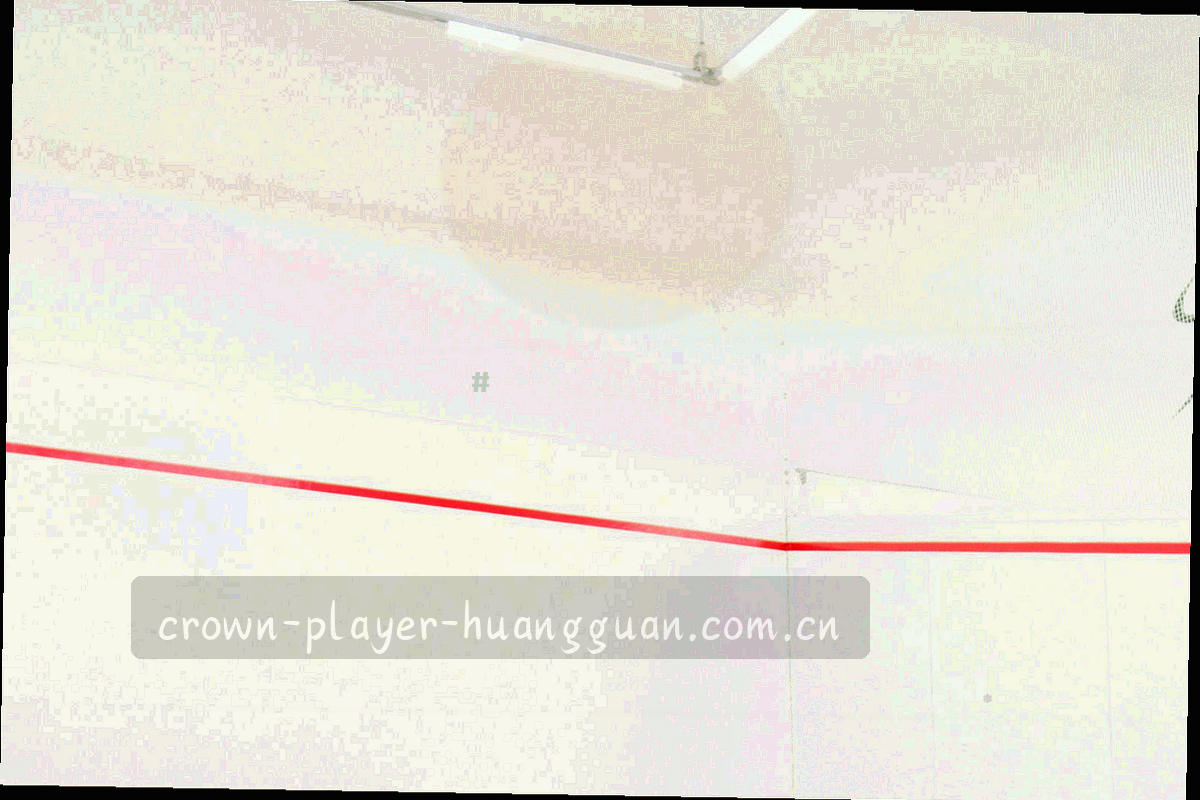 同一界面在墨黑与奶油白两种底色下的并排对比示意，无人物出现
